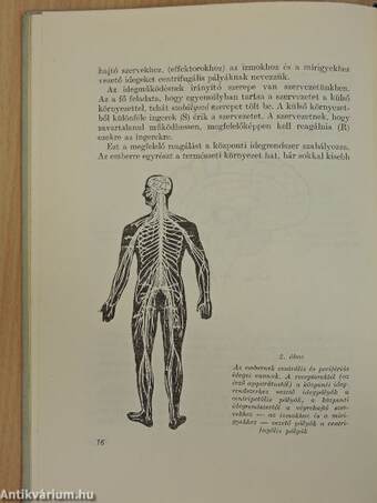 A csapatok harckiképzésének módszertana