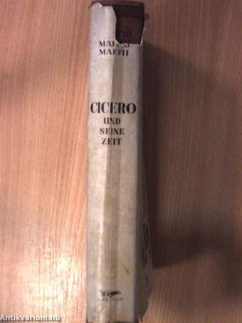 Cicero und seine Zeit