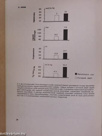 Sport és rehabilitáció