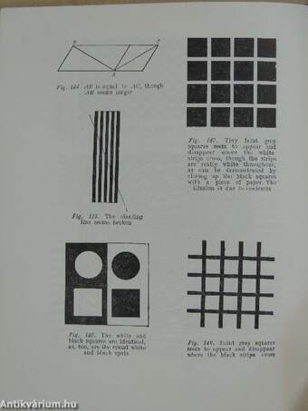 Physics for Entertainment 1-2