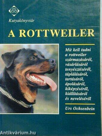 A rottweiler