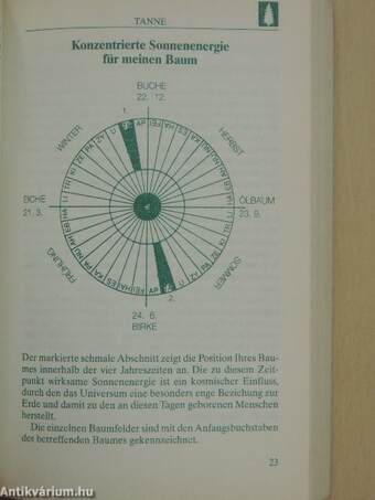 Keltisches Baumorakel