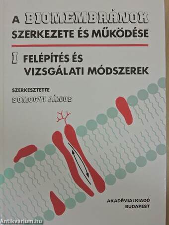 A biomembránok szerkezete és működése I-III.