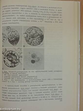 A biomembránok szerkezete és működése I-III.