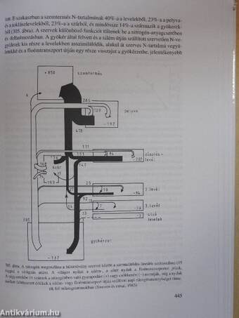 Mezőgazdasági növények élettana