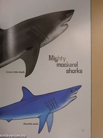 Sharks