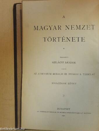 A magyar nemzet története VIII.