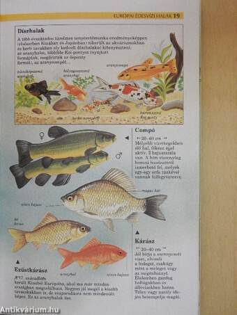 Európai édesvízi halak