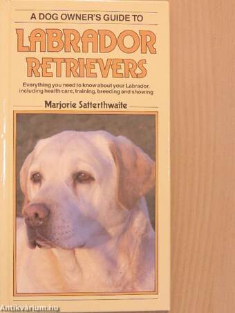 A dog owner's guide to labrador retrievers