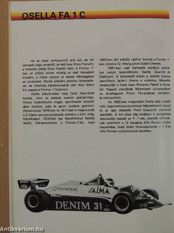 F-1 Autómodell história