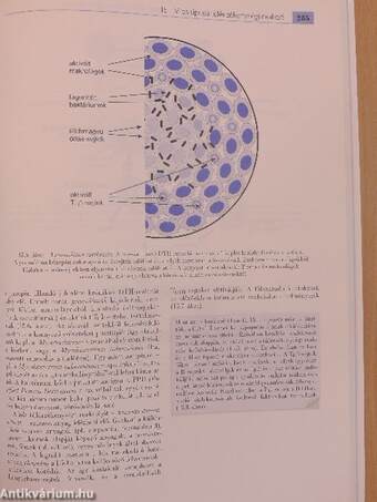 Immunbiológia