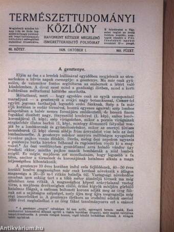 Természettudományi Közlöny 1928. október 1.