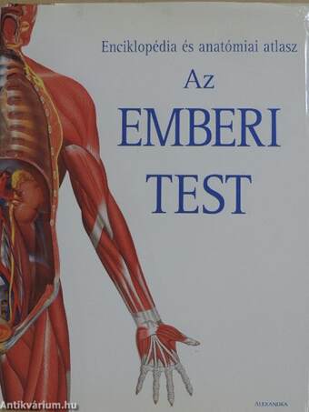 Az emberi test