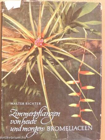 Zimmerpflanzen von heute und morgen: Bromeliaceen