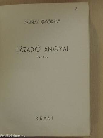 Lázadó angyal