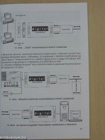 Az Internet felépítése és működése