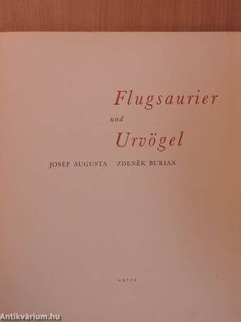 Flugsaurier und Urvögel