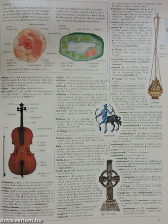 Illustrated Oxford Dictionary