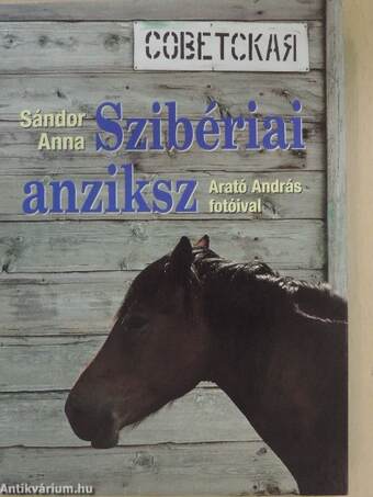 Szibériai anziksz