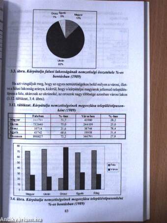 A magyar nyelvű oktatás helyzete Kárpátalján az ukrán államiság kialakulásának első évtizedében 