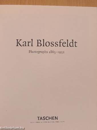 Karl Blossfeldt