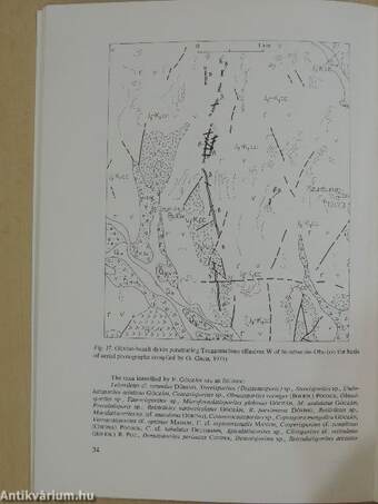 Geological Mapping and Prospecting in North Kerulen Territory, Mongolian People's Republic