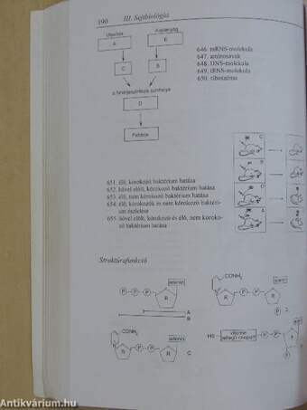 Biológiai feladatbank