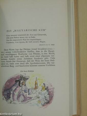 Das Buch vom Ungarwein