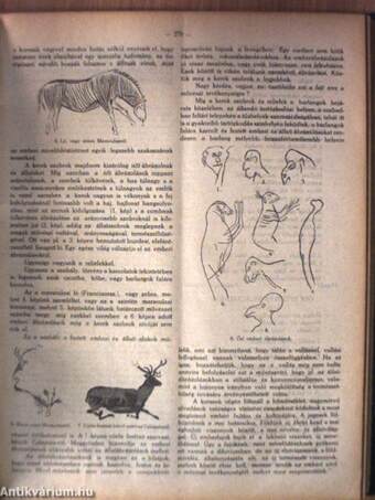 Pásztortűz 1926. január-december