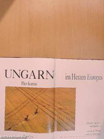 Ungarn im Herzen Europas