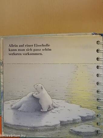 Der kleine Eisbär unterwegs