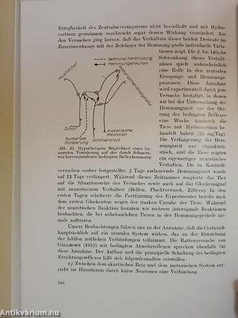 Die Neuroendokrine Steuerung der Adaptationstätigkeit