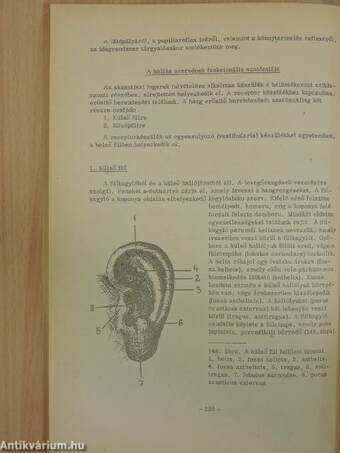 Funkcionális anatómia II.