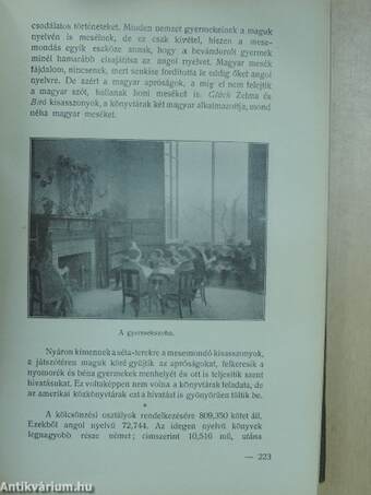 A Társadalmi Muzeum Értesitője 1911. január-deczember