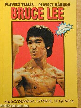 Bruce Lee mozaik