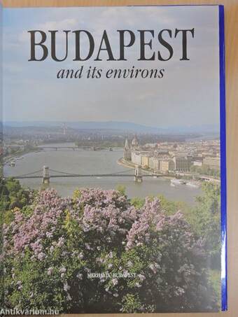 Budapest and its environs