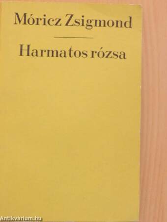 Harmatos rózsa