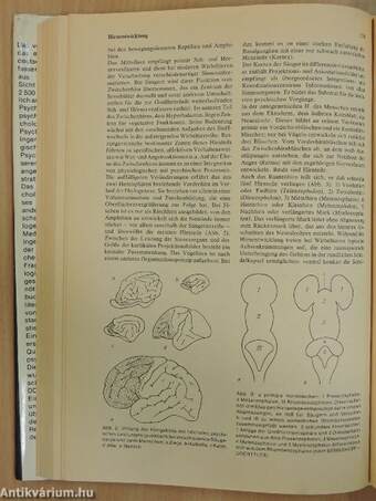 Wörterbuch der Psychologie