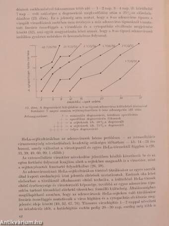 Az adenovírusok és kórokozó szerepük