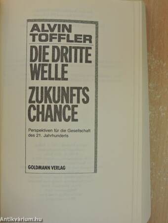 Die Dritte Welle - Zukunfts Chance