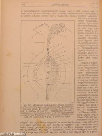 Természettudományi Közlöny 1918. január-december/Pótfüzetek a Természettudományi Közlönyhöz 1918. január-december