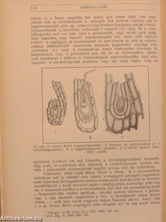 Természettudományi Közlöny 1918. január-december/Pótfüzetek a Természettudományi Közlönyhöz 1918. január-december