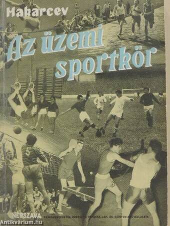 Az üzemi sportkör