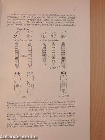 A debreceni Tisza István-Tudományos Társaság II. (Orvos-Természettudományi) osztályának munkái 1943/2.