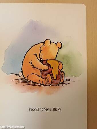 Pooh's Touch and Feel Visit