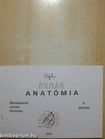 Humán anatómia 4.