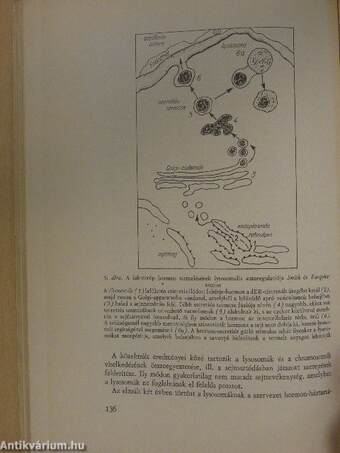 Az orvostudomány aktuális problémái 1969/2.