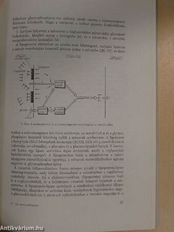 Az orvostudomány aktuális problémái 1968/1.