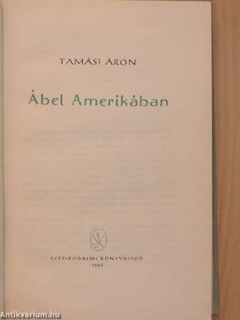 Ábel Amerikában 