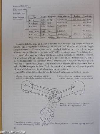 Bevezetés az adatfeldolgozásba